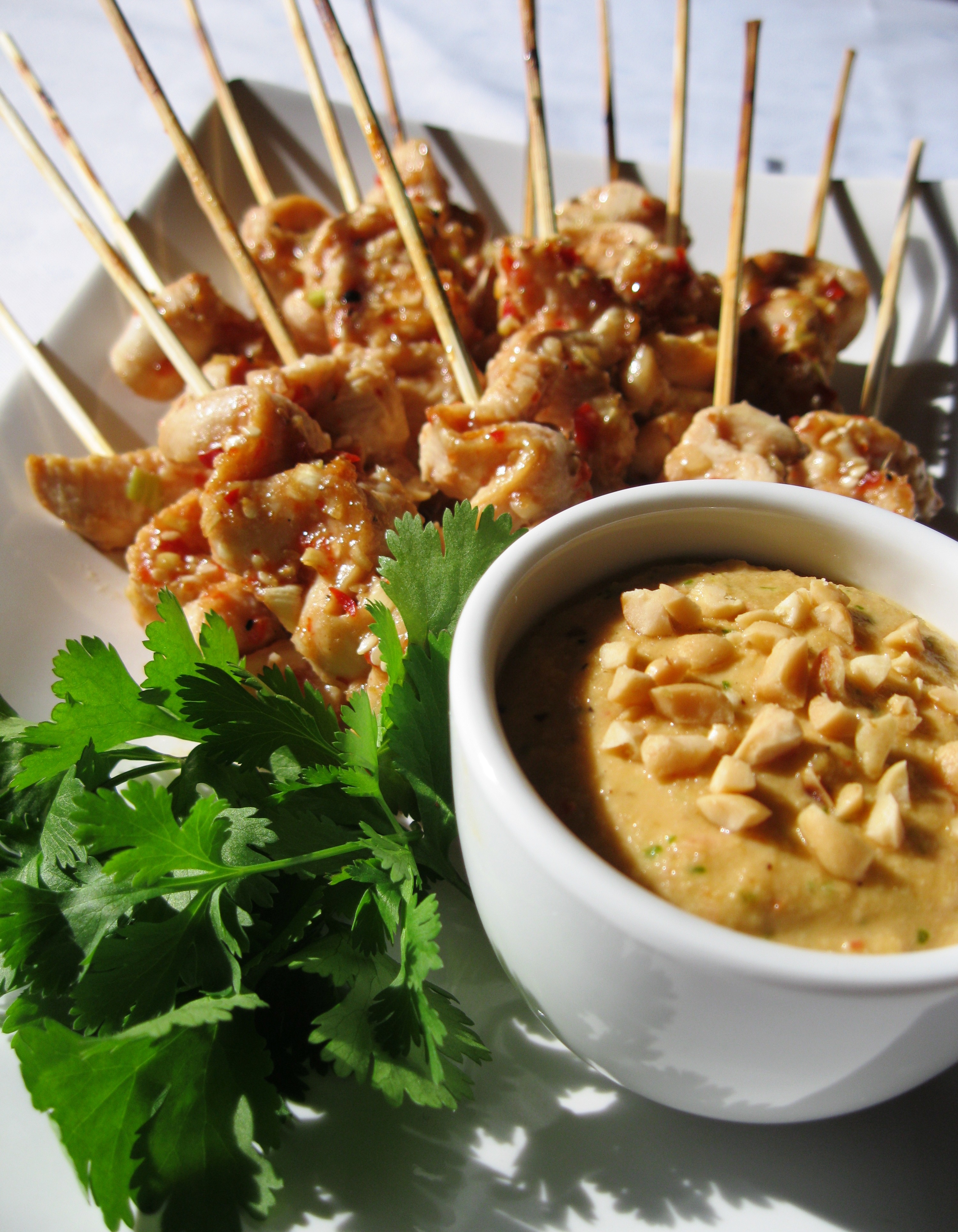 indonesian satay chicken and spicy peanut dip